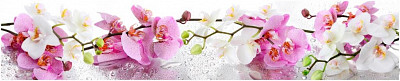 Фартук 3000*610/3мм  глянцевый "Primavera" (ПВХ)(Фотопечать Белые и розовые орхидеи)-Lk/КМ-47 - 1