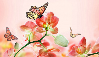 Стол с фотопечатью 1,2 (butterfly 5) "Амели" - 2