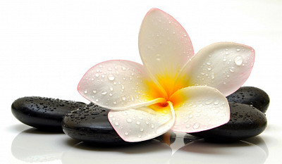 Стол с фотопечатью 1,2 (flowers 19) "Амели" - 2