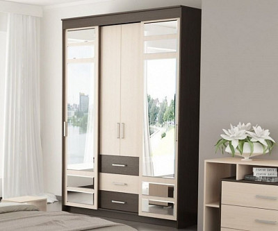 Шкаф-купе 1,6 comb "Hanny" (Венге/Дуб) /Gnt/Юн - 3