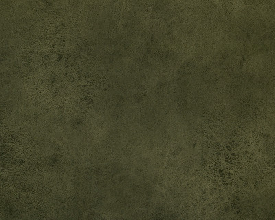 Диван Диего (мех.тик-так (Велюр Kengoo Olive (AT)/МДФ Венге) - 3