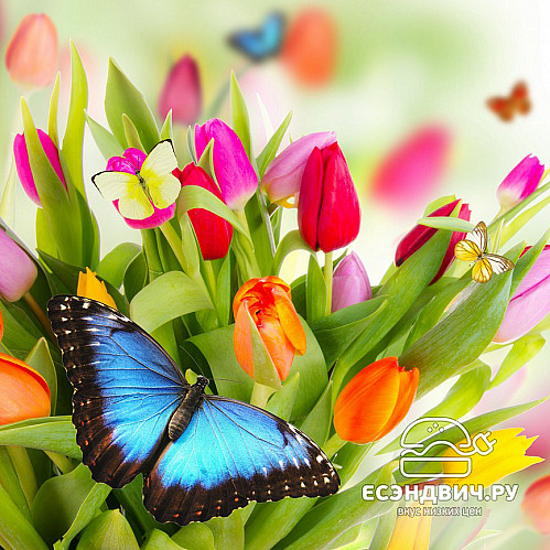 Стол с фотопечатью D_0,9 (butterfly 4) round "Амели"