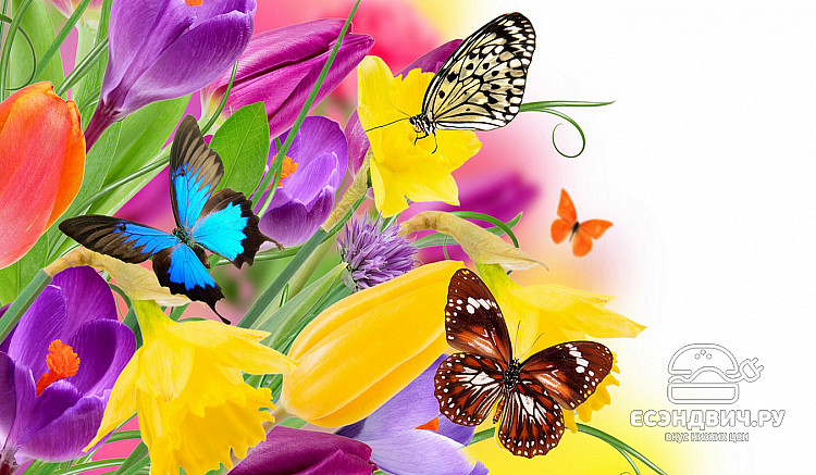 Стол с фотопечатью 1,2 (butterfly 1) "Амели"